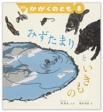 雨あがりの生きもの　かたつむり　かがくのとも　こどもとしぜん かがくのとも – 株式会社こどものとも オフィシャルサイト
