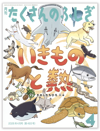 たくさんのふしぎ2026年4月号「いきものと熱」