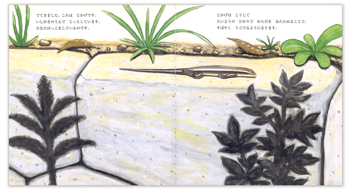 かがくのとも2026年5月号「とかげ」