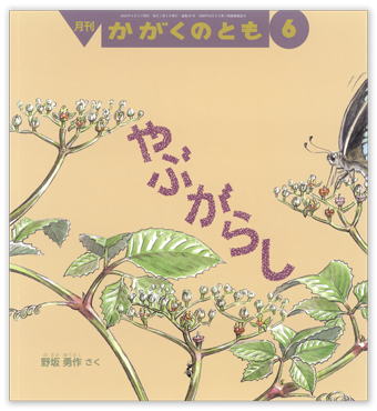 かがくのとも2026年6月号「やぶがらし」