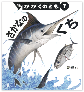 かがくのとも2026年7月号「さかなの くち」