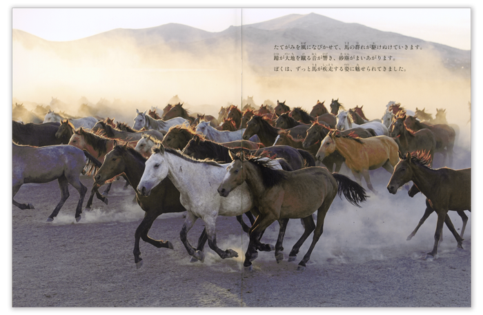 たくさんのふしぎ2026年10月号「馬と人間」