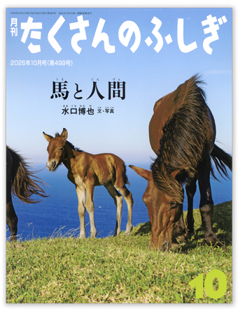 たくさんのふしぎ2026年10月号「馬と人間」